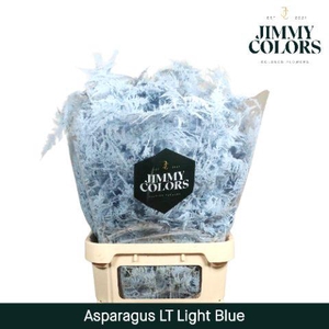 Aspa lang getopt Light blue