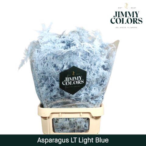 <h4>Aspa lang getopt Light blue</h4>