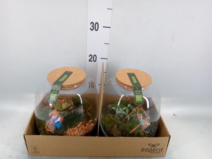 <h4>Arr.    Planten  H%</h4>