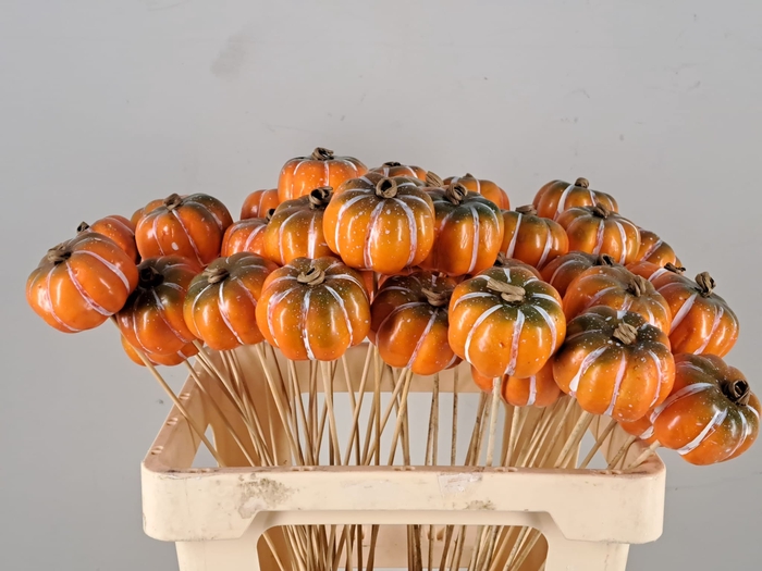 <h4>Stick Pumpkin Yellow/Green</h4>