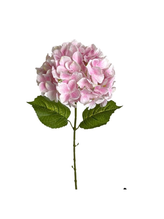 <h4>AF Hydrangea L65cm pink</h4>