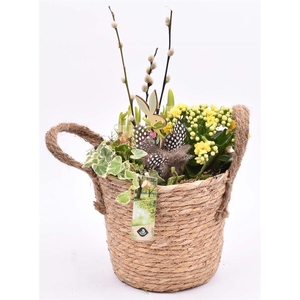 Touwmand met oren Dia 18