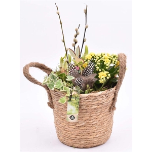 Touwmand met oren Dia 18