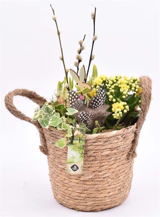 <h4>Touwmand met oren Dia 18</h4>