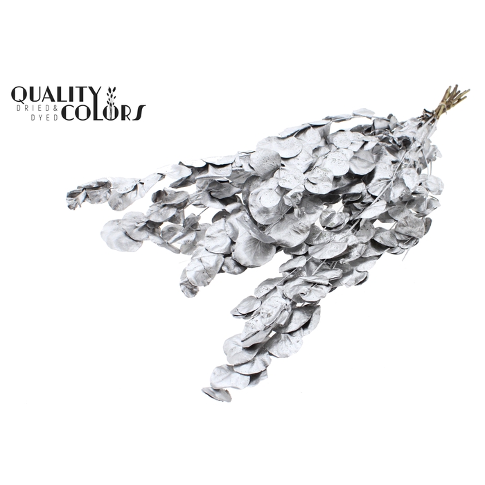 <h4>Eucalyptus Dried per bunch Silver</h4>