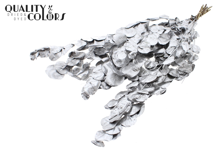 Eucalyptus Dried per bunch Silver