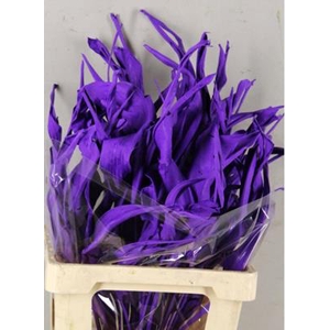 Df Strelitzia Leaf Dark Lilac