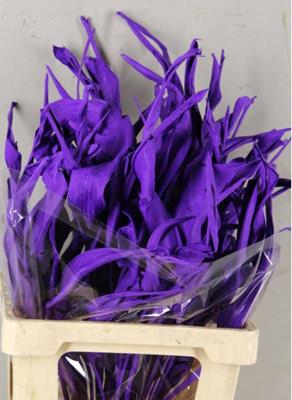 <h4>Df Strelitzia Leaf Dark Lilac</h4>