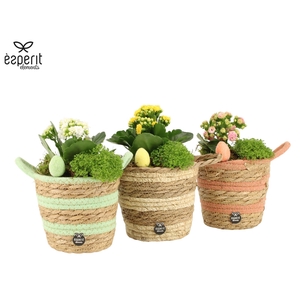 70983: Easter arrangement