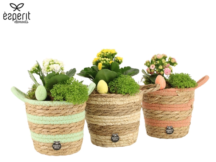 <h4>70983: Easter arrangement</h4>