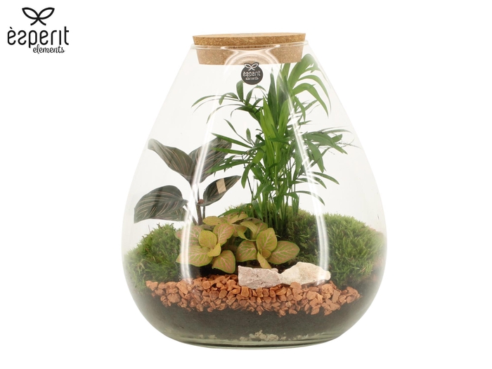 <h4>90806: Terrarium arrangement</h4>