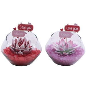 Valentine Arr. Succulent Glass Oblique UFO Vase Ø15cm 1PP
