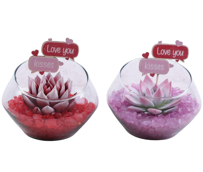<h4>Valentine Arr. Succulent Glass Oblique UFO Vase Ø15cm 1PP</h4>