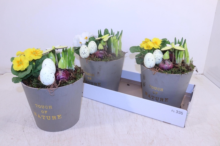 <h4>ARR TUINPLANTEN</h4>