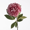 AF Paeonia L78cm Pink