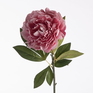 Af Paeonia L78cm Pink