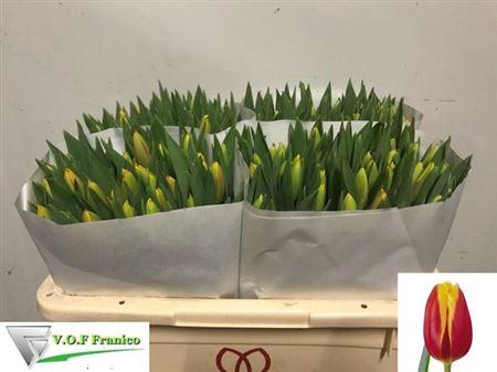 <h4>Tu En Dow Jones</h4>