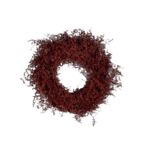 Wreath Asparagus D40