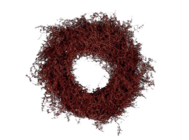 Wreath Asparagus D40