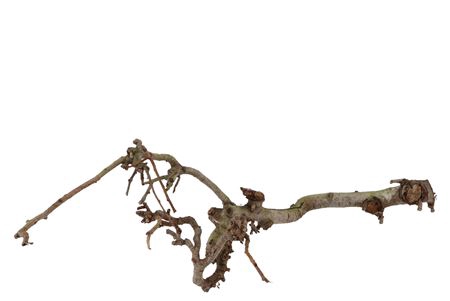 <h4>NATUUR TAK PEREN MIDDEL PER 1</h4>