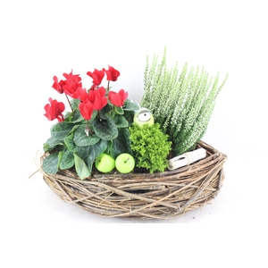 arr4 Outdoor VL - Riet mand kano