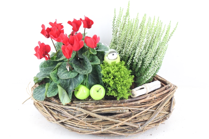 <h4>arr4 Outdoor VL - Riet mand kano</h4>