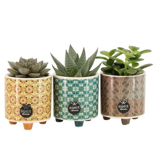 55000197: Solutionss