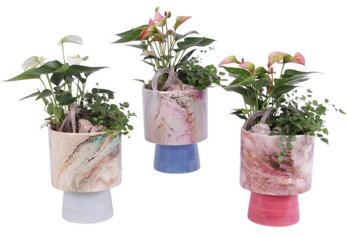 <h4>Yearround Arr. Indoor Ceramic Fresh Breeze FB676 Ø14cm 2PP</h4>