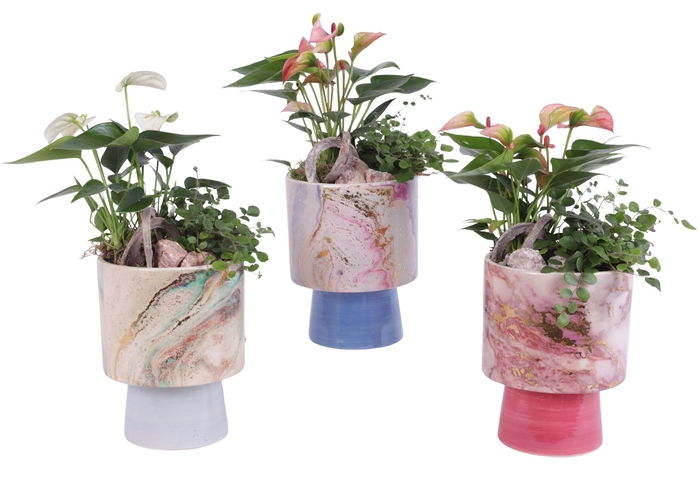 <h4>Yearround Arr. Indoor Ceramic Fresh Breeze FB676 Ø14cm 2PP</h4>