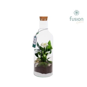 Green Bottle Fles Medium met Kerst arrangement
