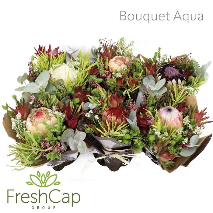 <h4>Bouquet Aqua Diy</h4>