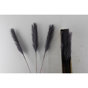 Kunst Pluim Vertakt Zwart H%