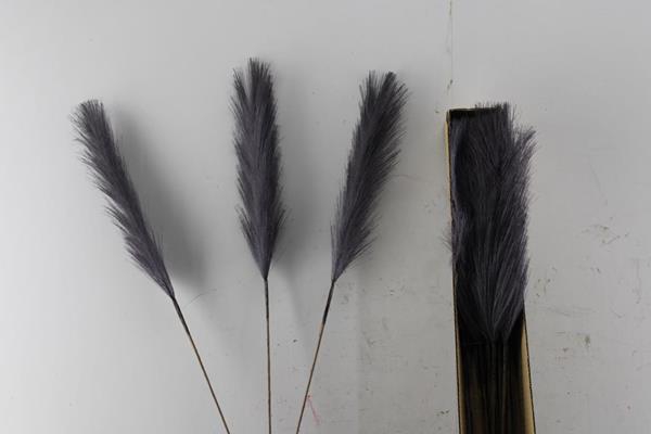 <h4>Kunst Pluim Vertakt Zwart H%</h4>