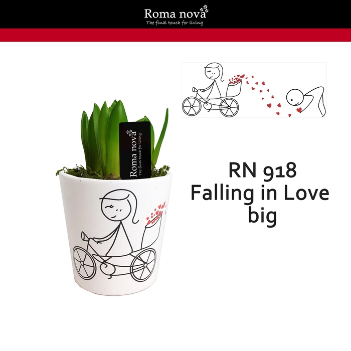 <h4>918 - Falling in Love Big (Hyacint)</h4>