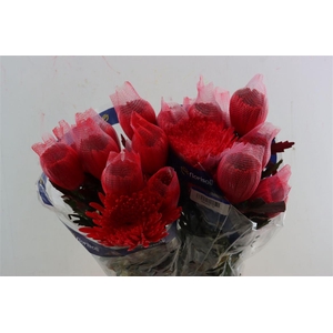 Chr G Kbh Brushed Red