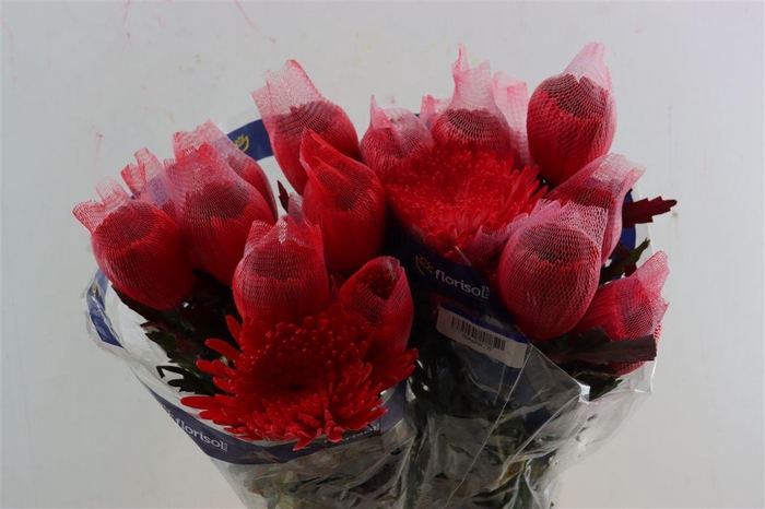 <h4>Chr G Kbh Brushed Red</h4>