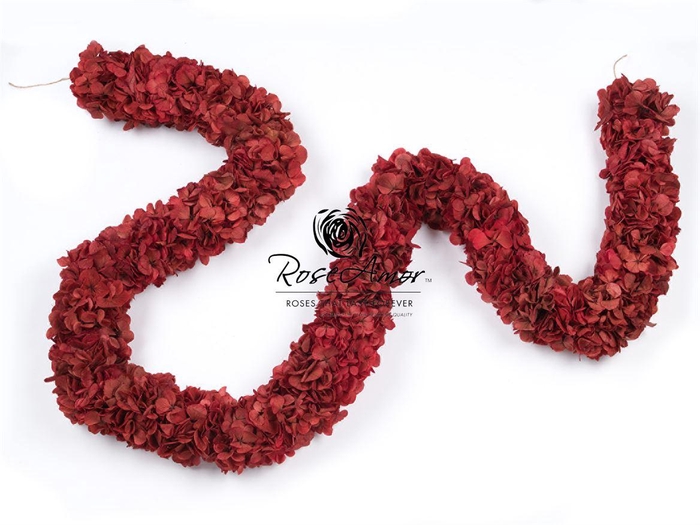 <h4>Guirnaldes Hydrangea 2meter Pin10</h4>