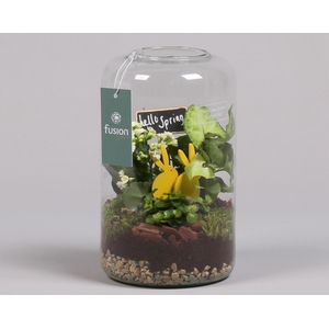 Green Bottle Isabella Medium Pasen met Arrangement