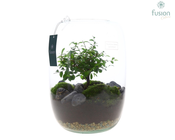 <h4>Green Bottle Isabella XLarge met Bonsai</h4>