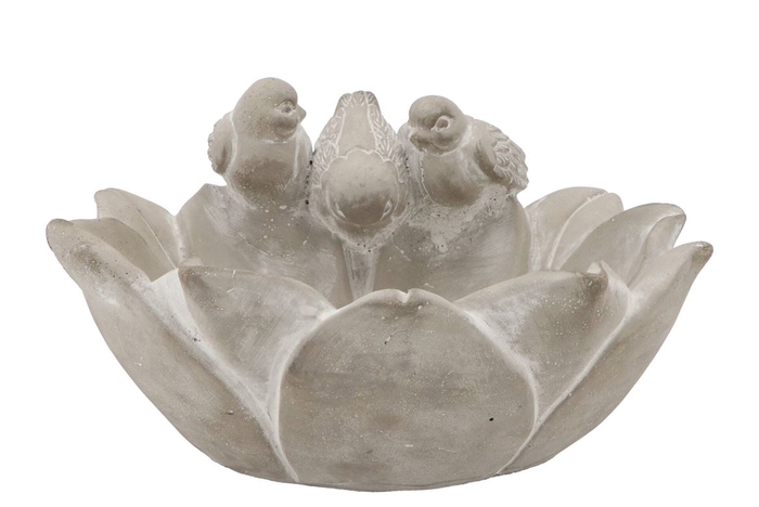 <h4>Concrete Bird Bowl Flower 25x25x14cm</h4>