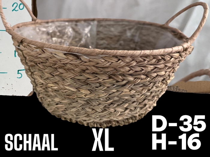 <h4>MANDWERK H%</h4>