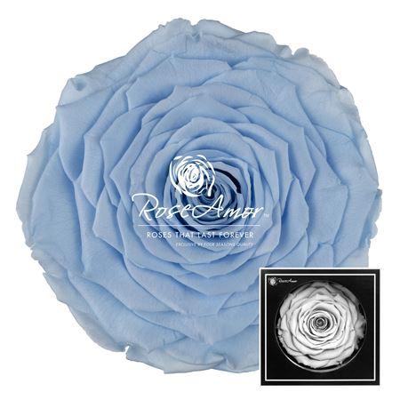 <h4>Xxl Blu89</h4>