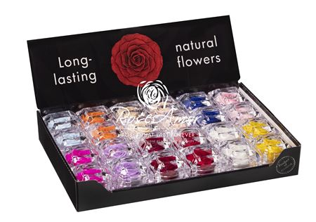 Display Jewel Assorted