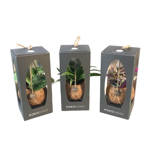 Kokodama 12 cm Gift Package Green mix