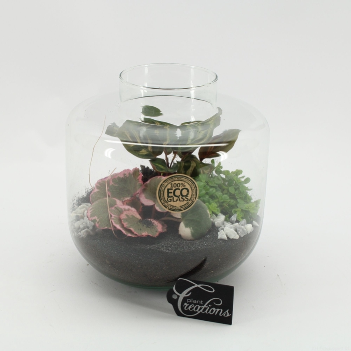<h4>Opm GRCR-2549 Green Essentials Terrarium</h4>