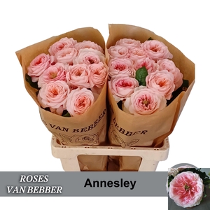 R GR ANNESLEY!