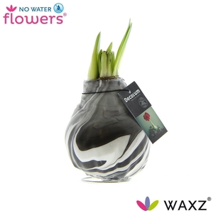 No Water Flowers Waxz® Artooz Earth Black(Decorum)