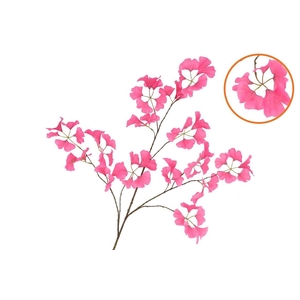 Silk Ginkgo Beauty 130cm Nm