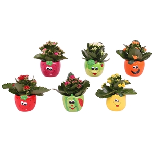 Yearround Arr. Indoor Ceramic Round Fruit Face Mix Ø09cm