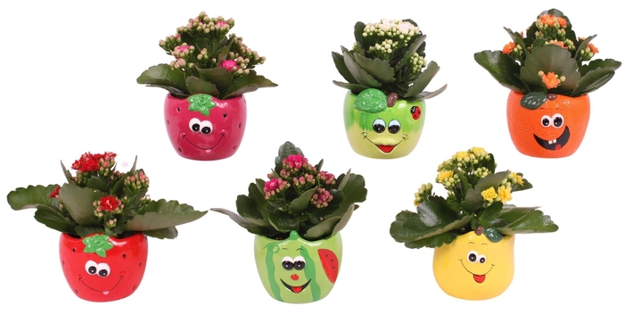 <h4>Yearround Arr. Indoor Ceramic Round Fruit Face Mix Ø09cm</h4>